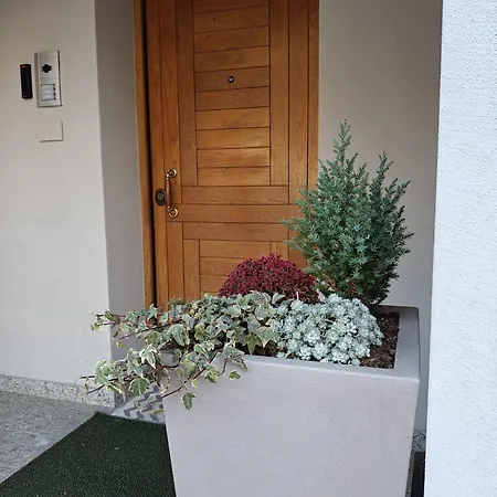 Casa Siter